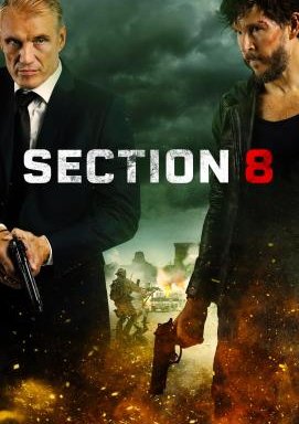 Section 8